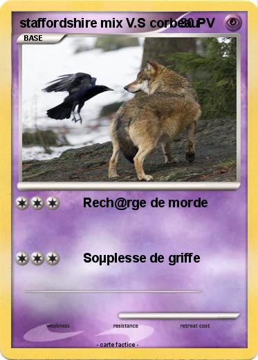 Pokemon staffordshire mix V.S corbeau