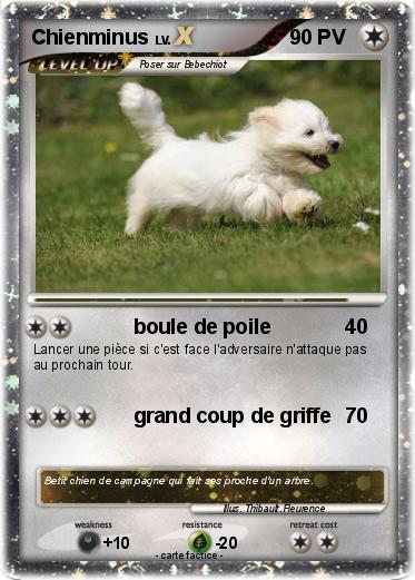 Pokemon Chienminus