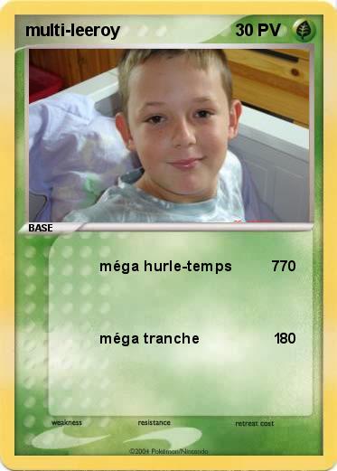Pokemon multi-leeroy