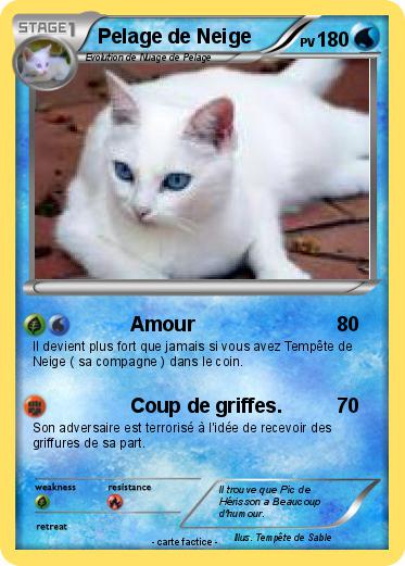 Pokemon Pelage de Neige