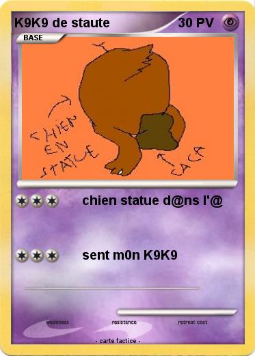 Pokemon K9K9 de staute