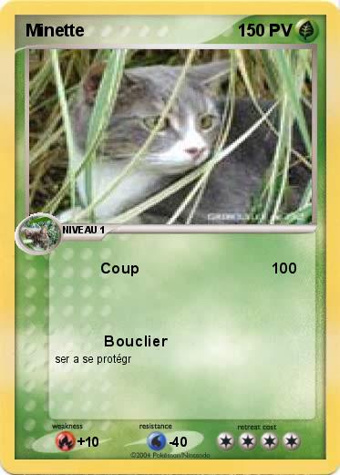 Pokemon Minette