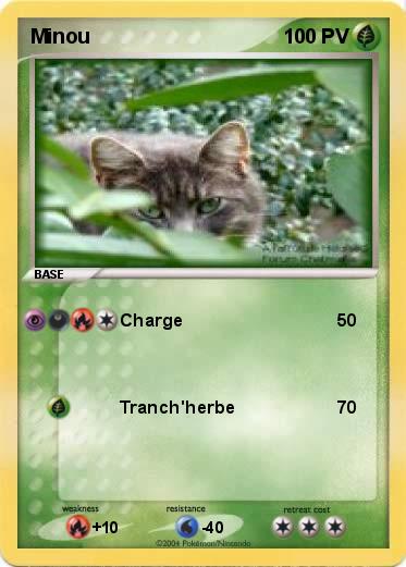 Pokemon Minou