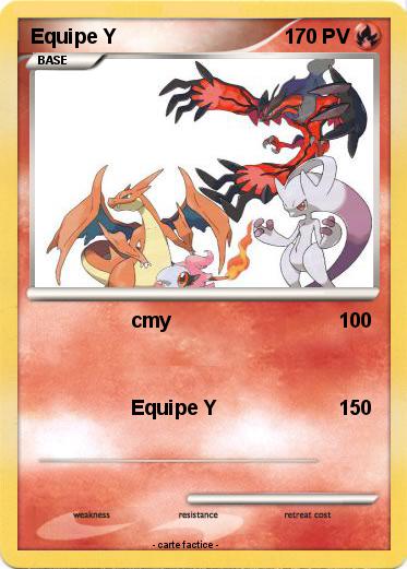 Pokemon Equipe Y