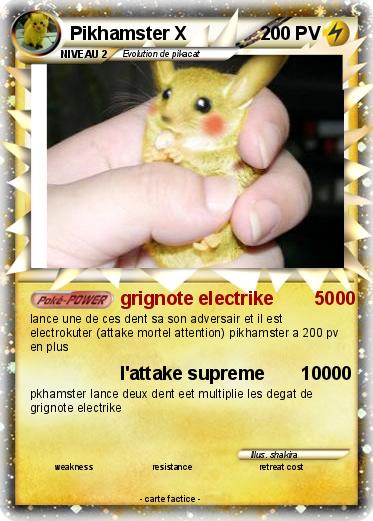 Pokemon Pikhamster X