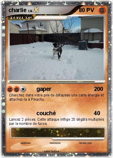 Pokemon charlie
