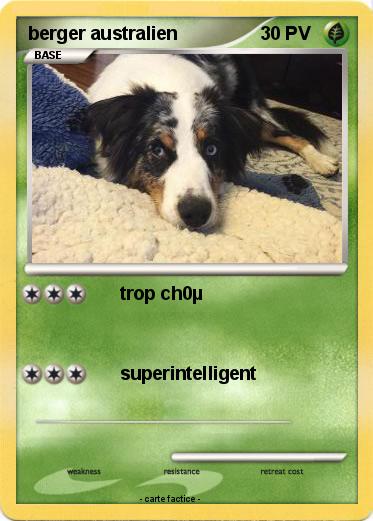 Pokemon berger australien