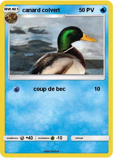 Pokemon canard colvert