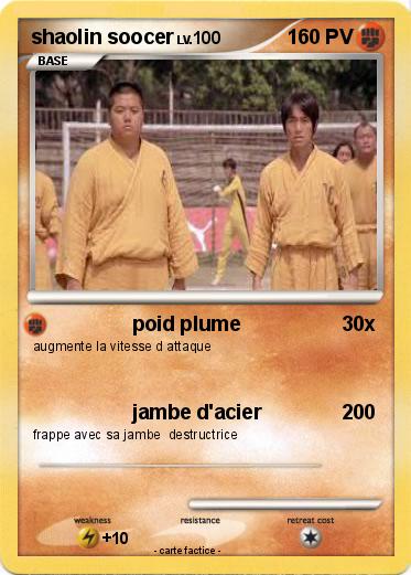 Pokemon shaolin soocer