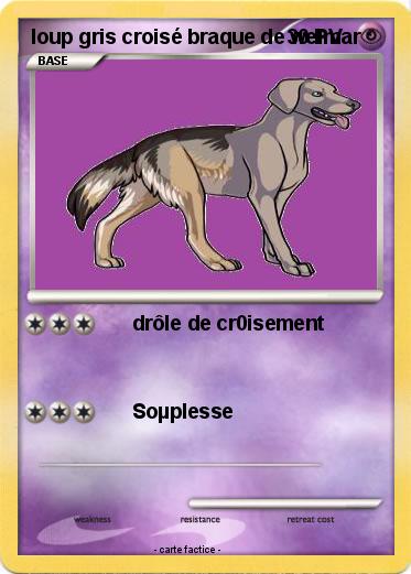 Pokemon loup gris croisé braque de weimar