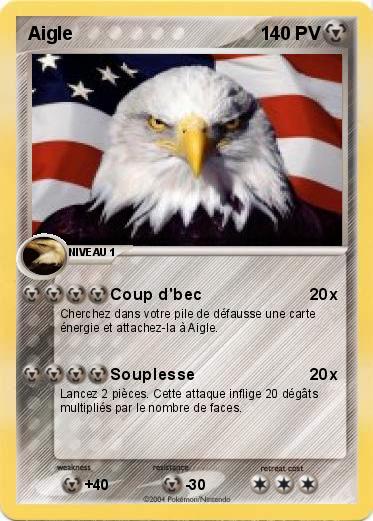 Pokemon Aigle