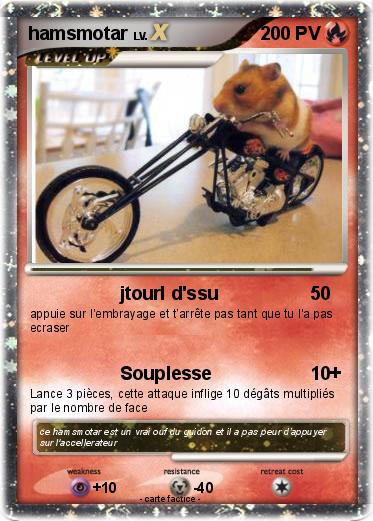 Pokemon hamsmotar