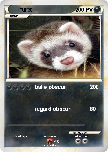 Pokemon furet