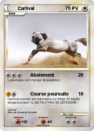 Pokemon Carlival