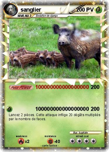 Pokemon sanglier