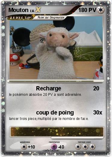 Pokemon Mouton