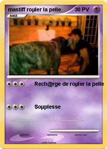Pokemon mastiff roµler la pelle