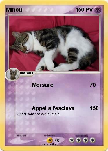 Pokemon Minou