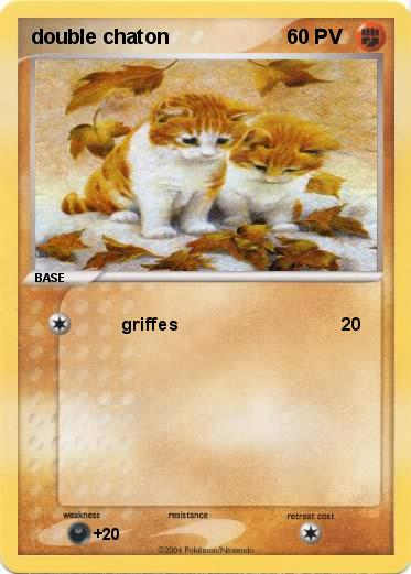 Pokemon double chaton