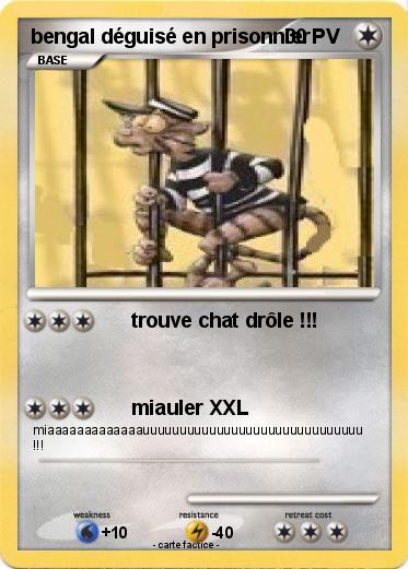 Pokemon bengal déguisé en prisonnier