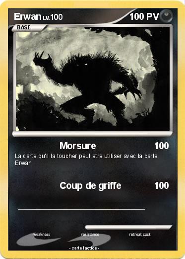 Pokemon Erwan