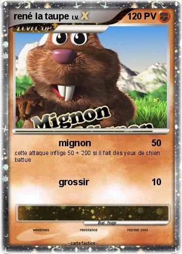Pokemon rené la taupe