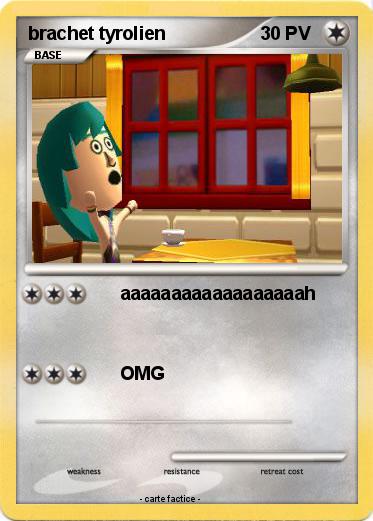 Pokemon brachet tyrolien