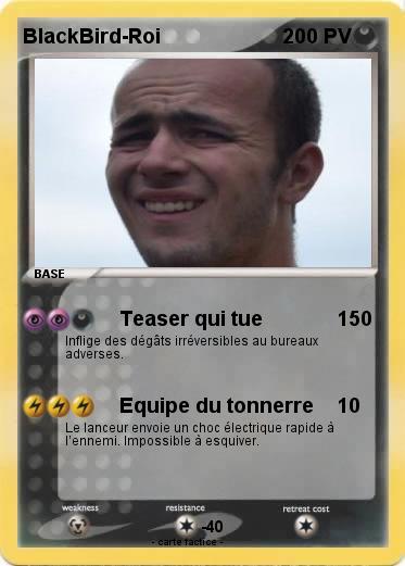 Pokemon BlackBird-Roi
