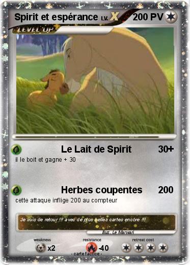 Pokemon Spirit et espérance