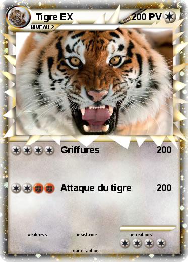 Pokemon Tigre EX