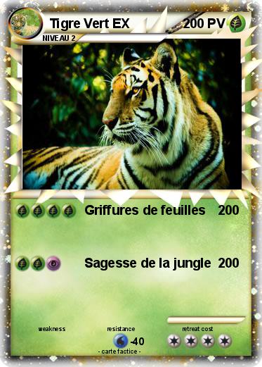 Pokemon Tigre Vert EX