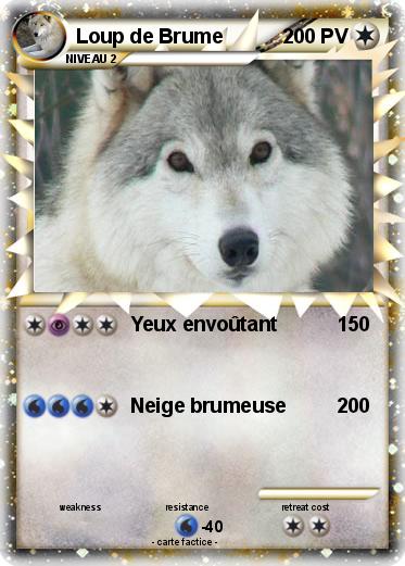 Pokemon Loup de Brume