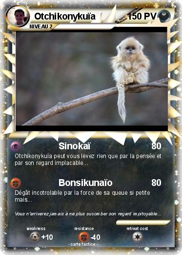 Pokemon Otchikonykuïa