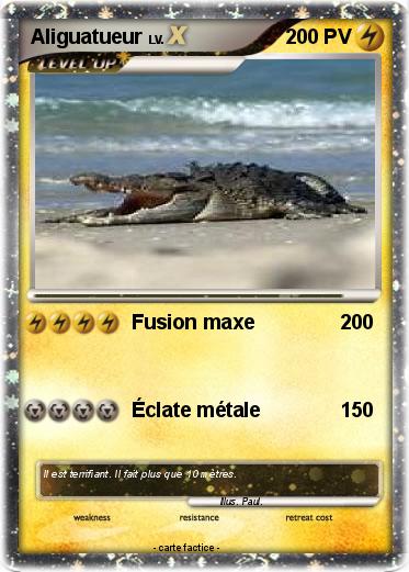 Pokemon Aliguatueur