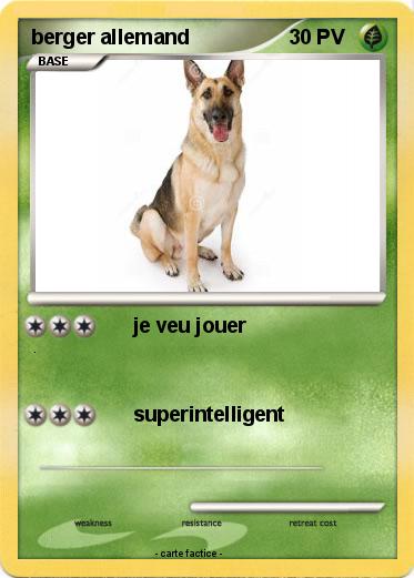 Pokemon berger allemand