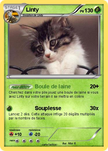 Pokemon Linty