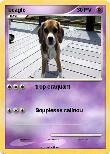 Pokemon beagle