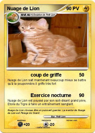 Pokemon Nuage de Lion