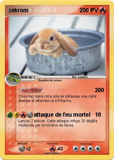 Pokemon zekrom