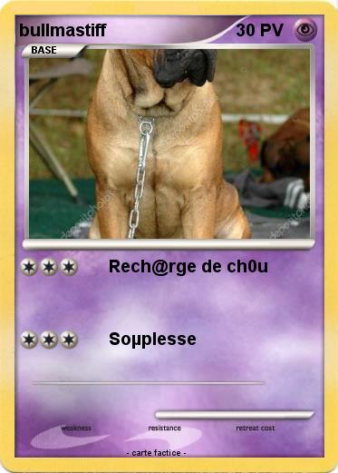 Pokemon bullmastiff