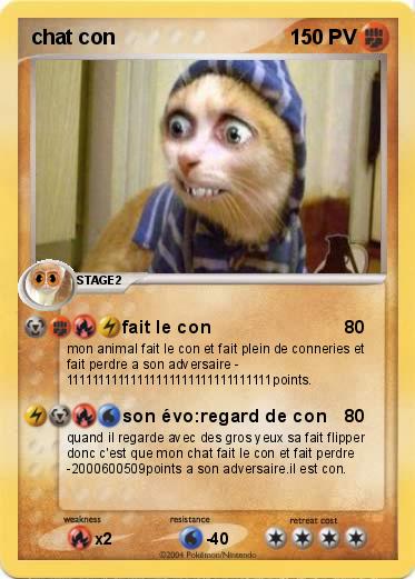 Pokemon chat con