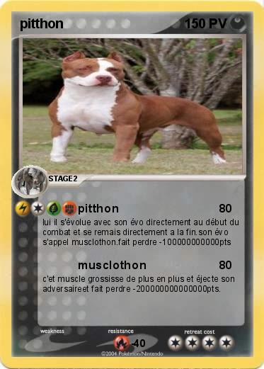 Pokemon pitthon