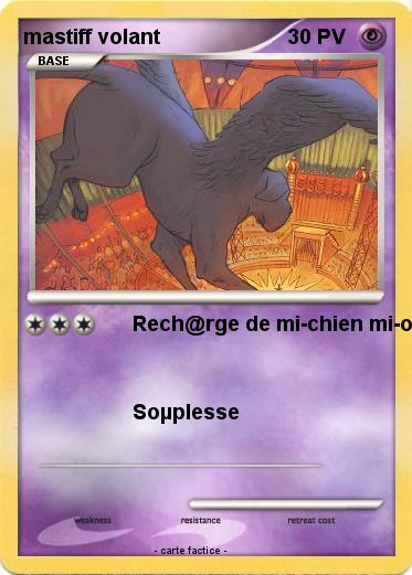 Pokemon mastiff volant