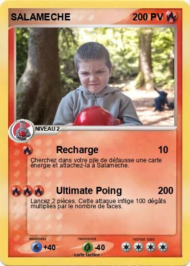 Pokemon SALAMECHE