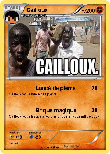 Pokemon Cailloux