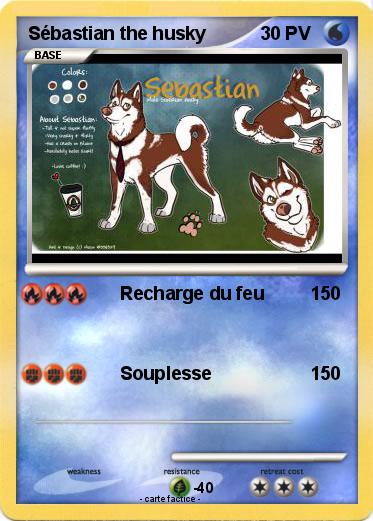 Pokemon Sébastian the husky