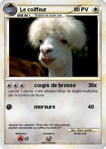 Pokemon Le coiffeur