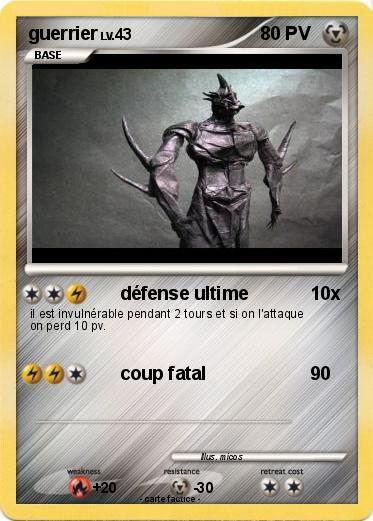 Pokemon guerrier