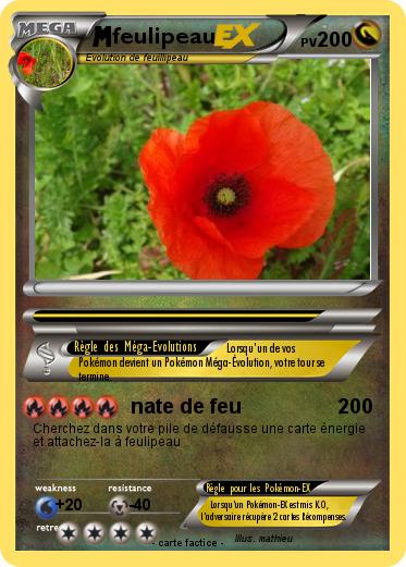 Pokemon feulipeau