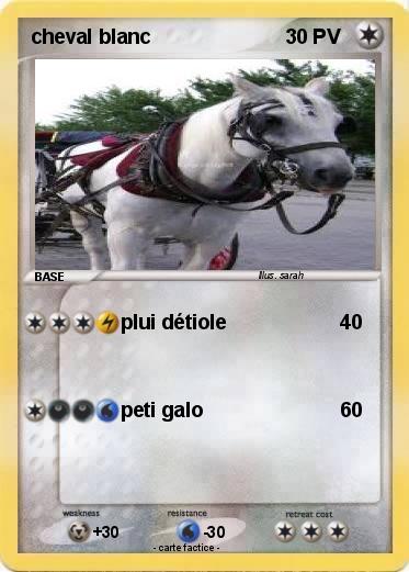 Pokemon cheval blanc